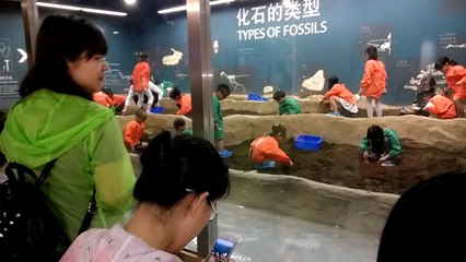 Shanghai Natural History Museum