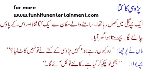 What Sardar Baby does when his mother asked him for marriage? www.funhifunentertainment.com