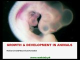 FSc Biology Book 2 CH 19, LEC 4; Development in Animals - Part 2