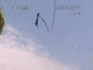 Alligator sky diving