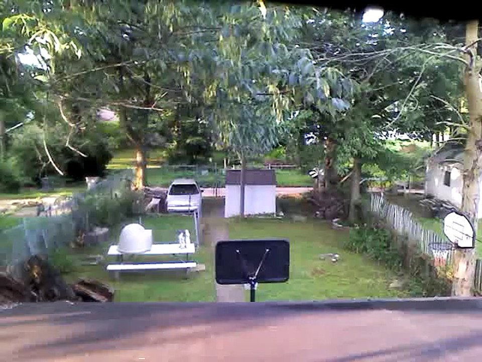 MORNING BIRDS CHIRPING / By shar-LEEN / 7-1-15