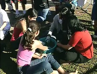 Preparativos Corpus Christi