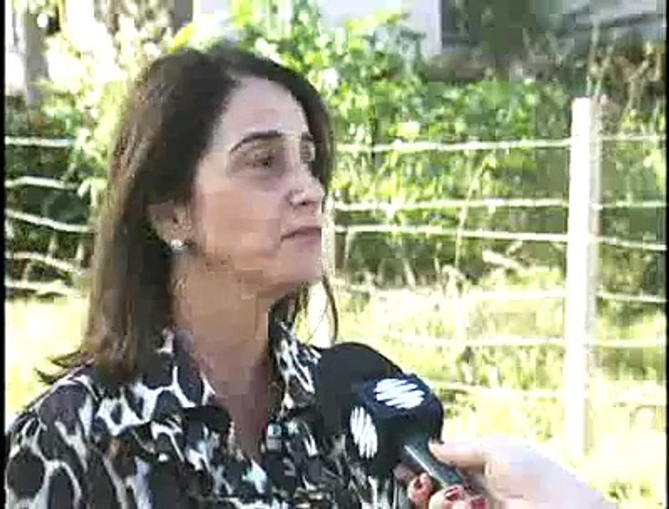 Lotes abandonados