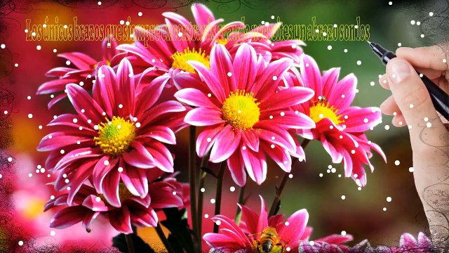 Frases Para MAMA - Frases Para El Dia De La Madre Amiga, Feliz Dia De La Madre Linda