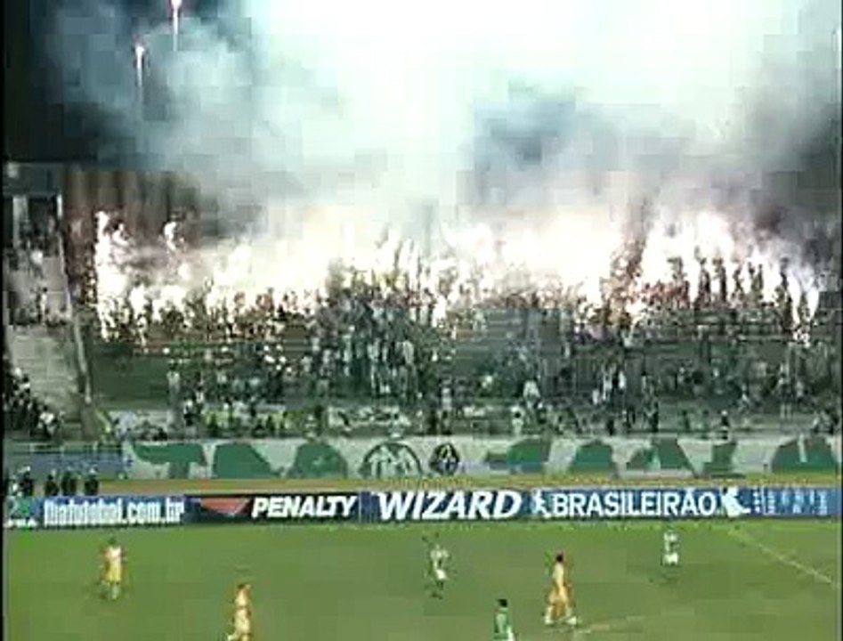 brasiliense