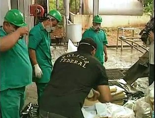 incineração de drogas