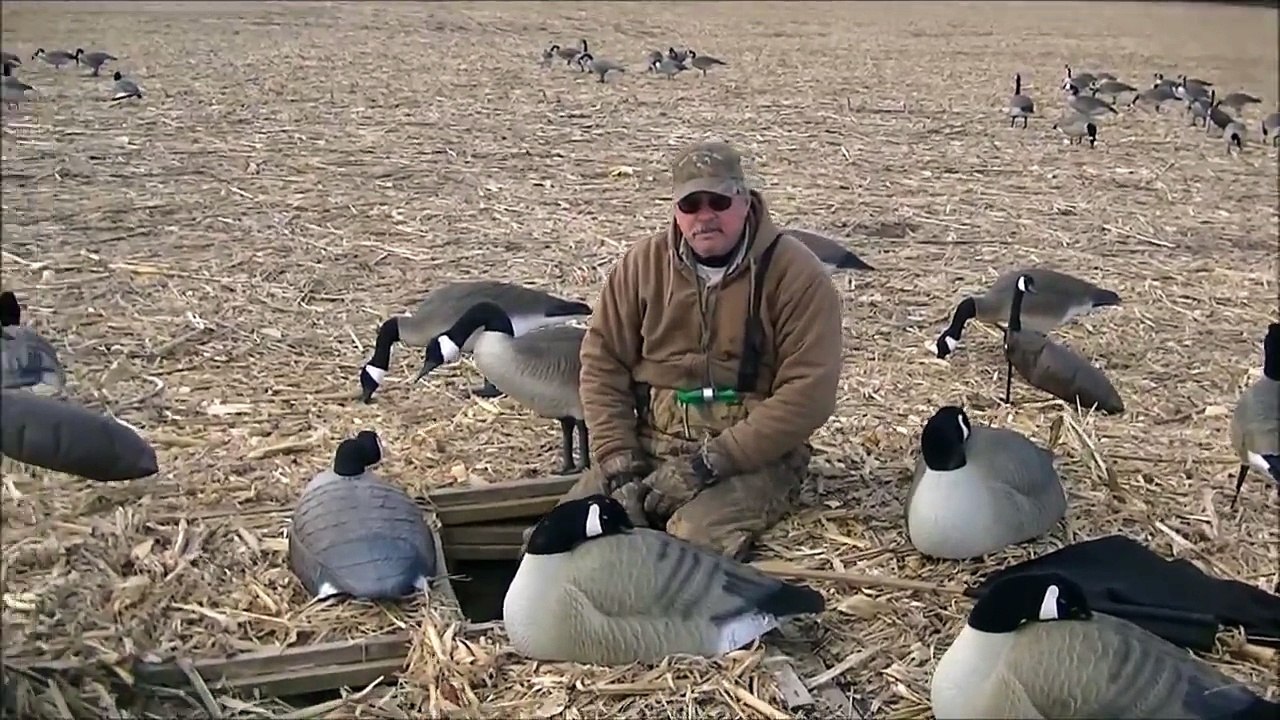 goose hunting