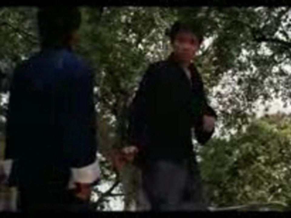 Parodie de Bruce Lee