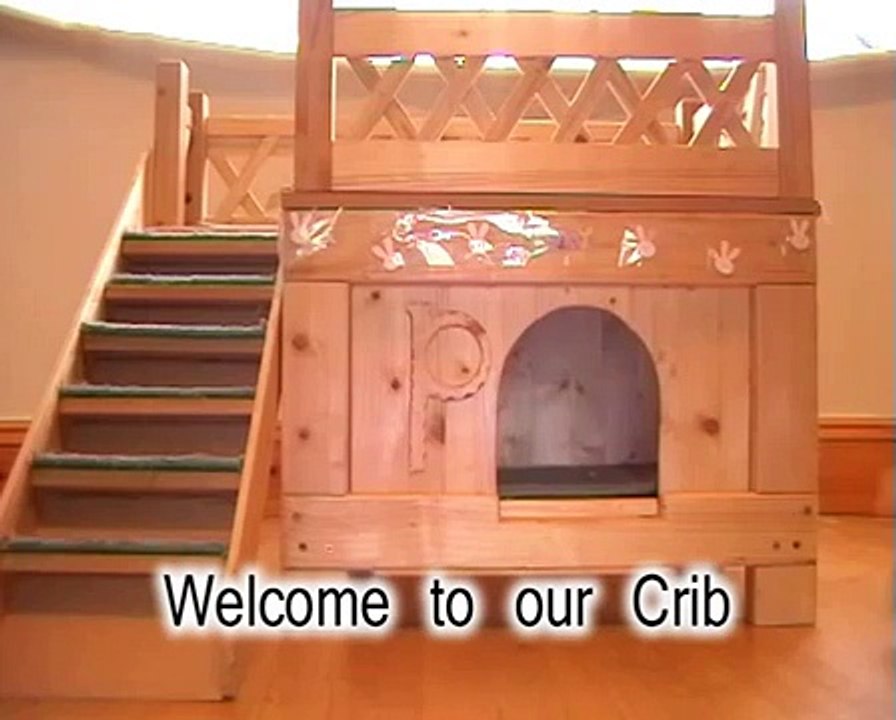 Pepper and Bella's Crib