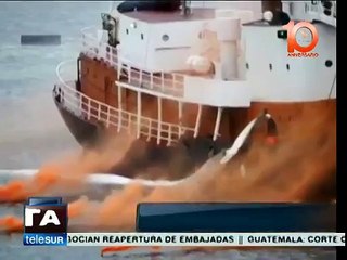 Pese a críticas, Islandia pone en marcha cacería de ballenas