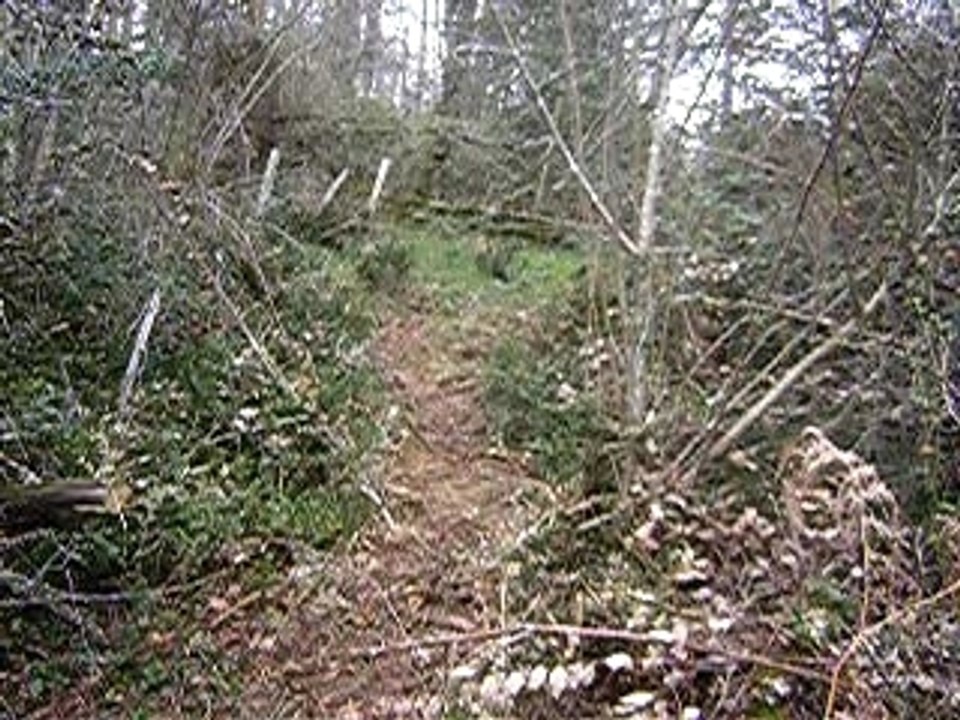 Vtt 165