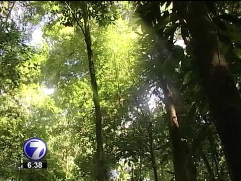 Costa Rica será sede de Congreso de Áreas Protegidas