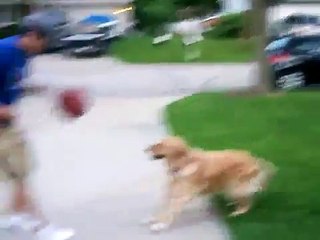 Molly vs. Adam in basketball