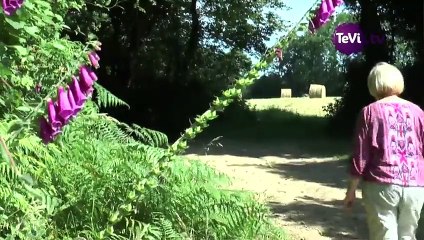 Groupama marche contre les maladies rares à Bricquebosq [TéVi] 15_07_01