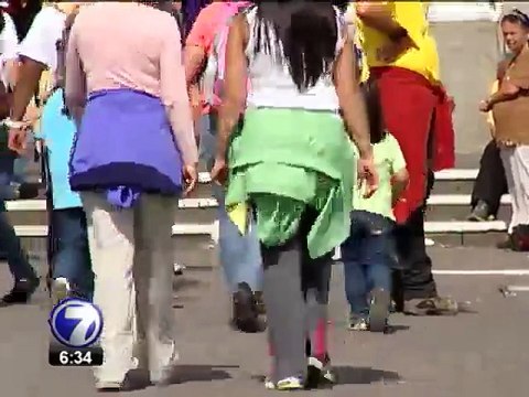 Perros abandonados durante la romería buscan un nuevo hogar