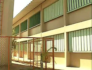 Vt Falta Professores