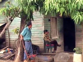 Curiosidades: No es pingüino, pero esta gallina se esfuerza por parecerlo