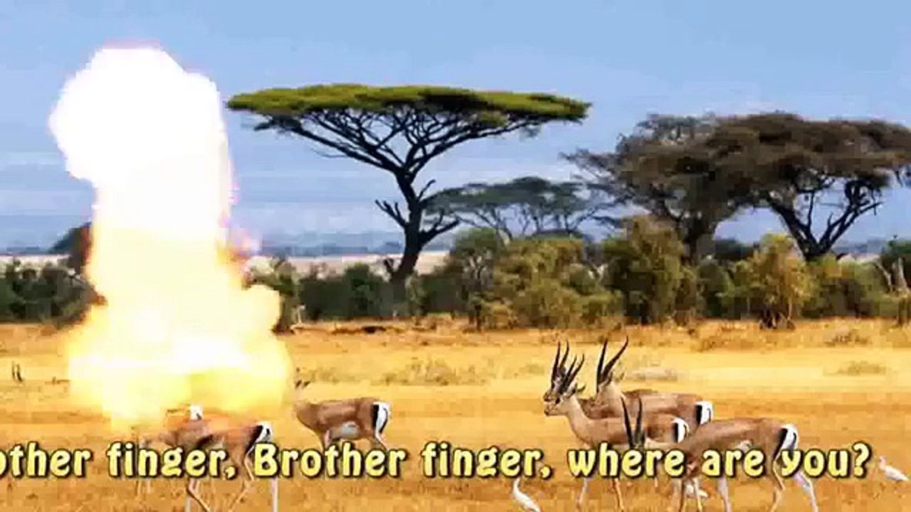 Finger Family Daddy Finger Lion Savane Animal  | The Lion King Cartoons | Kids Nursery Rhymes  3D