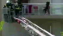 Les pompiers sauvent un chien d'un appartement en flammes à Antibes
