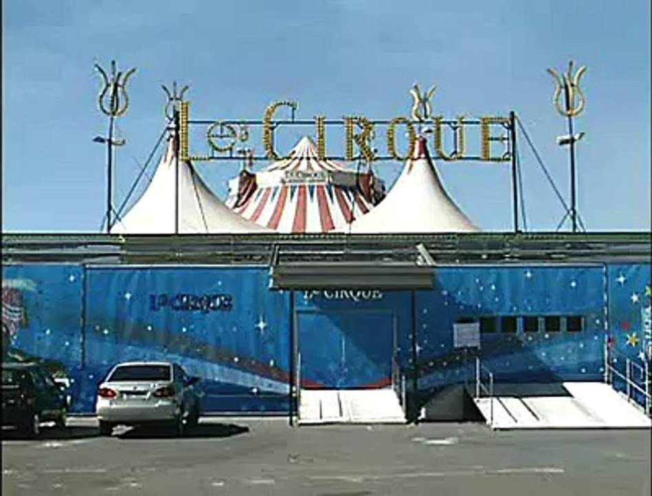Vt Circo Animais