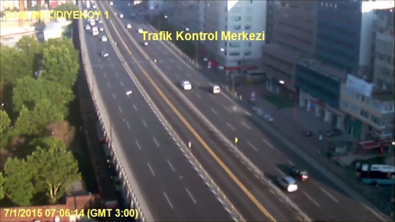 Un goéland trolle des automobilistes