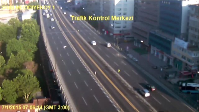 Un goéland trolle des automobilistes