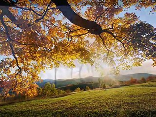 Beautiful Autumn  & Vivaldi