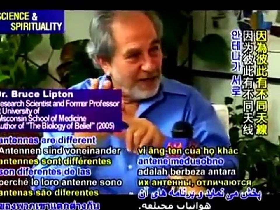 Dr. Bruce Lipton - Biology of Belief - Plant Based Environment  = Healthy Humans