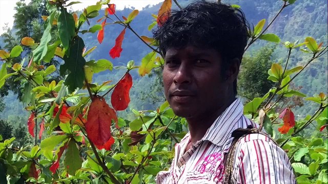 Sri Lanka - Nuwara Eliya