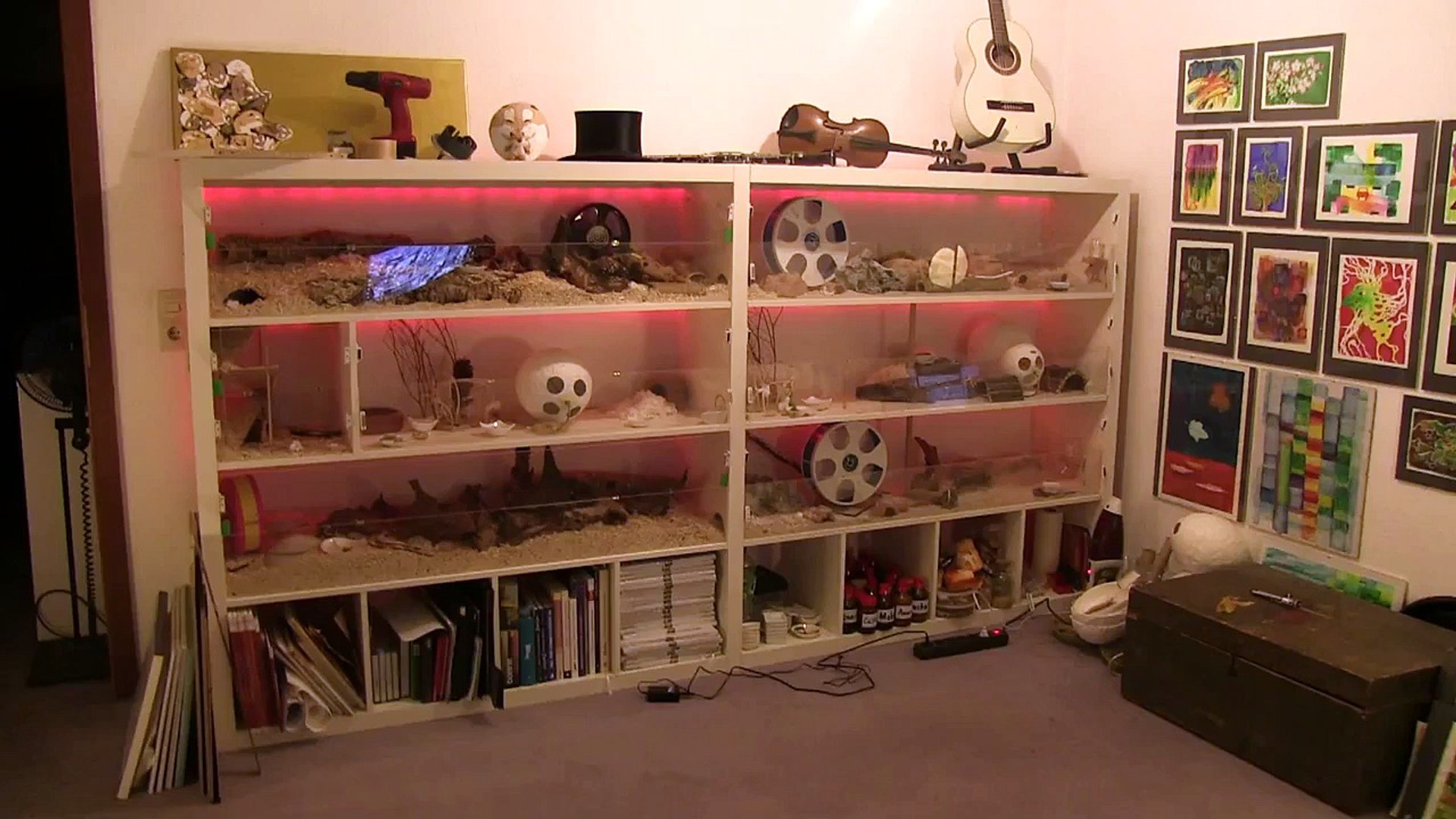 IKEA Expedit Hamster Cage Tutorial - 3. Build Up the Shelf - video  Dailymotion