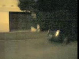 Fin de Soirée Party Boy