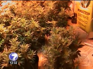 OIJ detuvo banda que realizaba fiestas para vender droga