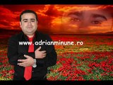 ADRIAN MINUNE - DACA TU PLECI EU CUI RAMAN (OFICIAL AUDIO)