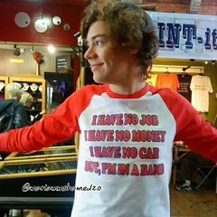 Harry styles story of my life .