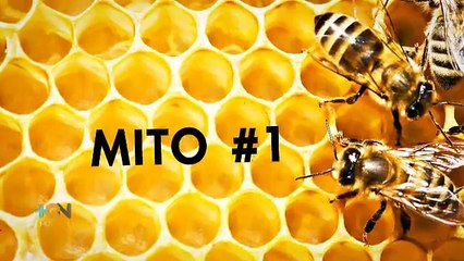 Detrás de la miel hay un trabajo no tan dulce pero si jugoso