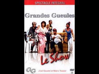 Les Grandes Gueules - À m'énarve ( Parodie "AM I LIVE" Céline Dion)