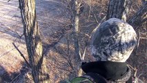 Calling Whitetails While Deer Hunting - The Management Advantage #14
