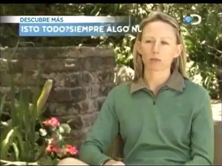 Sorprendente rescate entre elefantes [Crudo y Sin Censura]