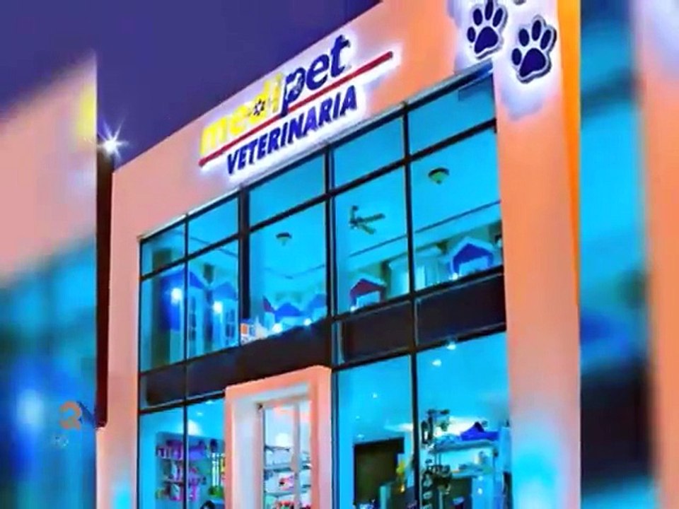 Desde condominios a guarderías: Así se consiente a los perros en Costa Rica