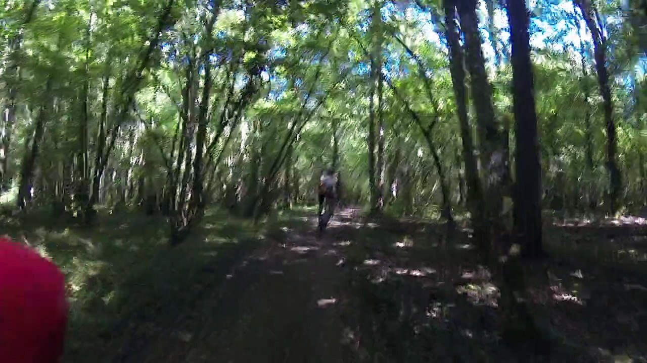 2015 - 06 LCO WE VTT - Raid des Cadoles - 17 sous bois suite