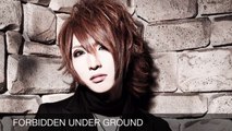 ALVION 【 - FORBIDDEN UNDER GROUND [】全曲試聴]