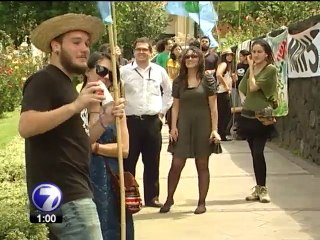 Reglamento de transgénicos continúa en análisis y debate en Sala Constitucional
