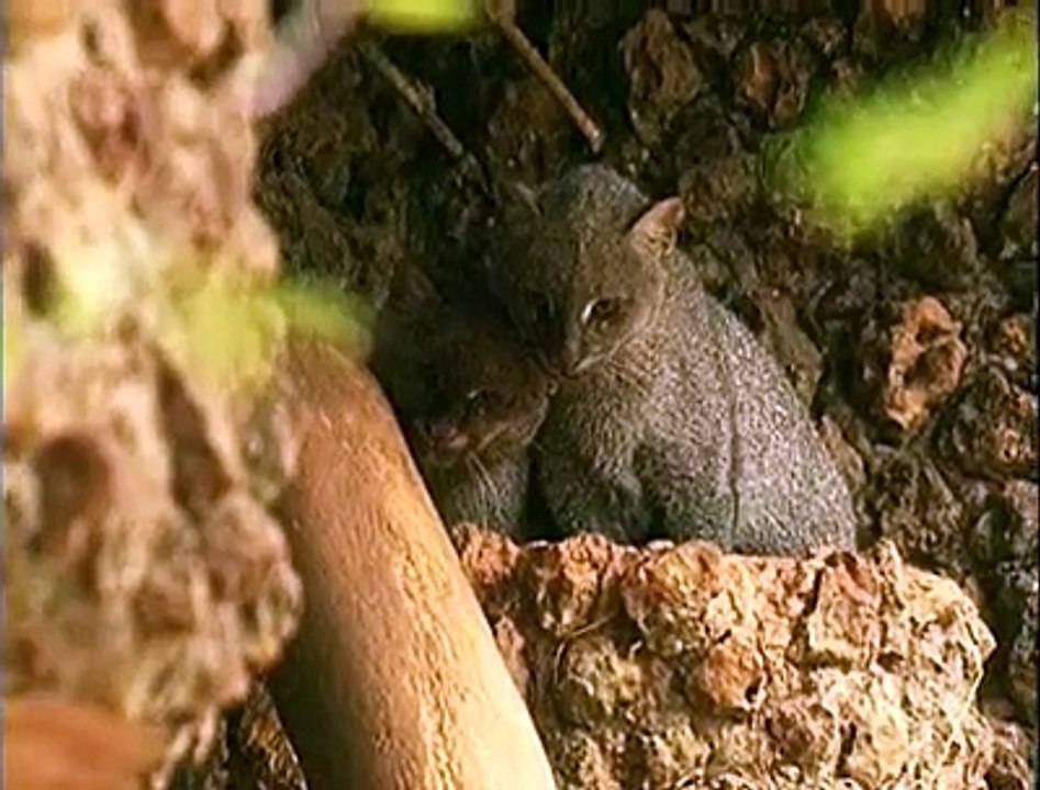 Zoológico