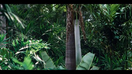 #4 M. Masrani découvre l'Indominus Rex - Extrait #4 M. Masrani découvre l'Indominus Rex (Français)