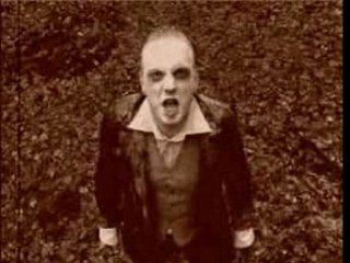 The vision bleak wolfmoon CLIP