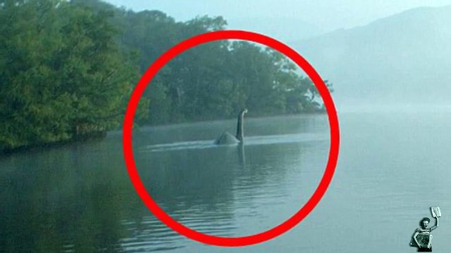 Is this the Loch Ness monster? Creature photographed in lake