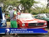 Amantes de los Mustang exhibieron sus “joyas” en La Guácima