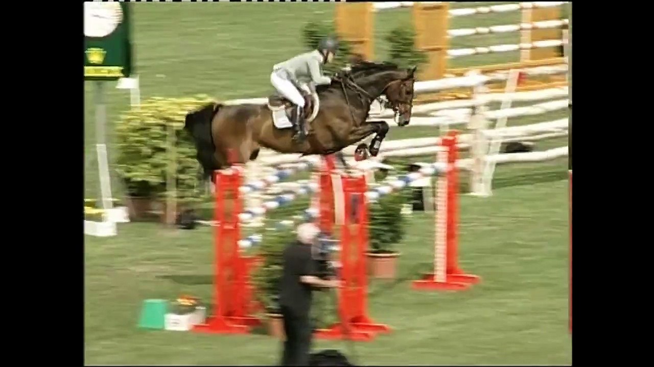 Holsteiner Verbandshengst - Contender v. Calypso II - Ramiro