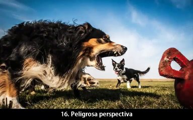TOP 20 imagenes que juegan con tu percepcion visual