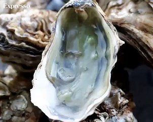 Pérola dos moluscos